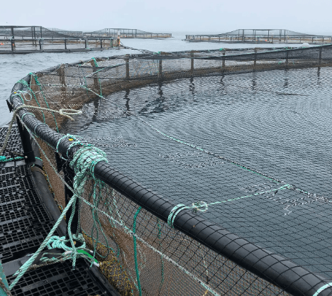 Aquaculture fishing net by SekyungNET