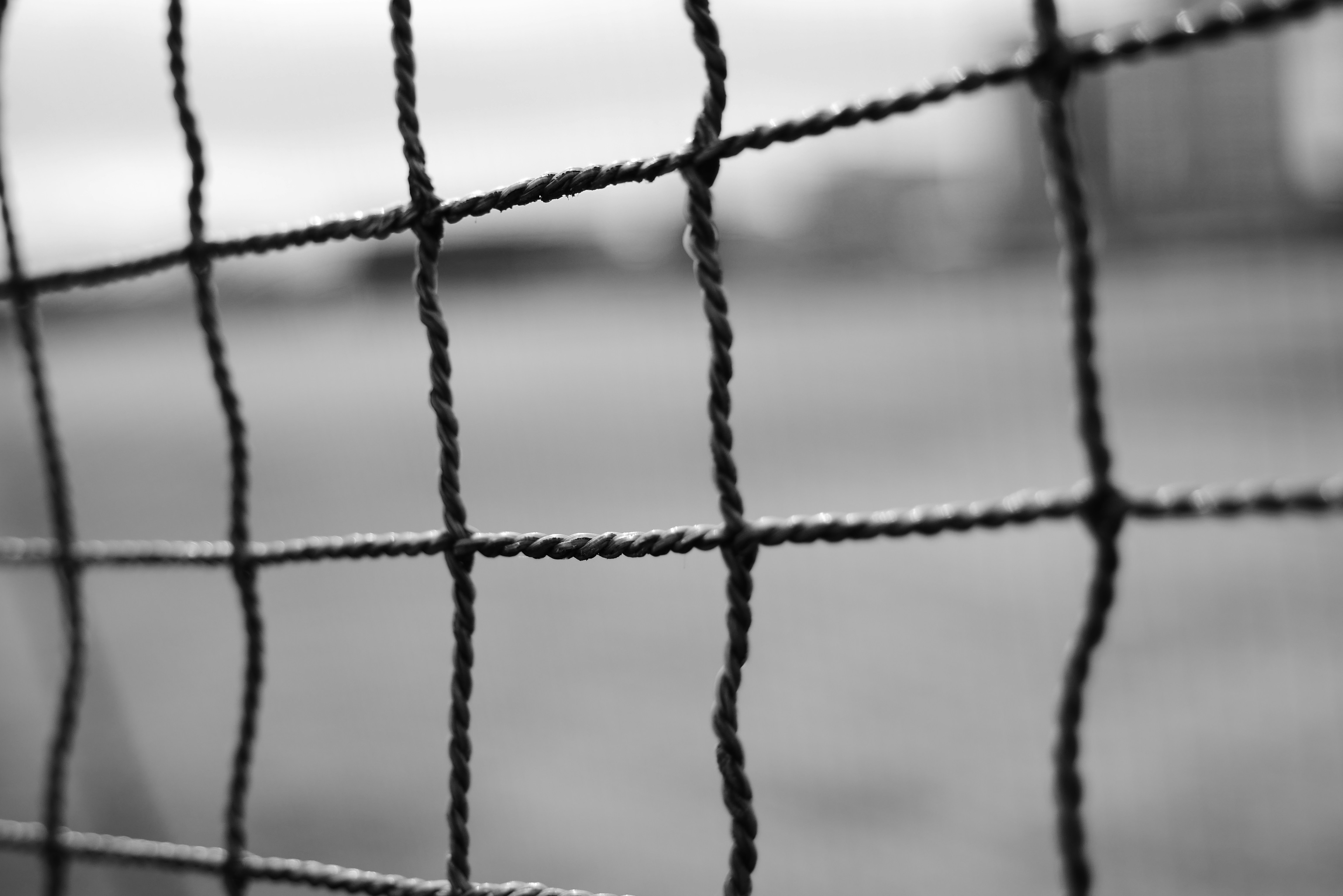 Sports Netting